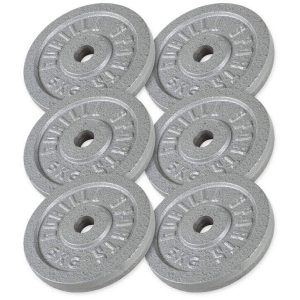 Viktskivor IRON Silver - 6x5kg